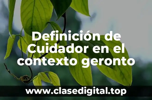 Definición de Cuidador en el contexto geronto