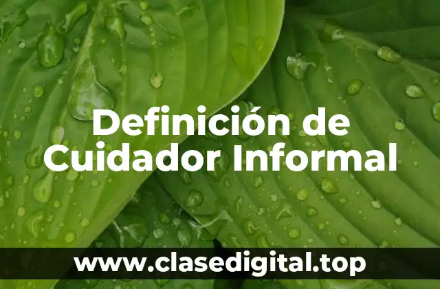 Definición técnica de Cuidador Informal