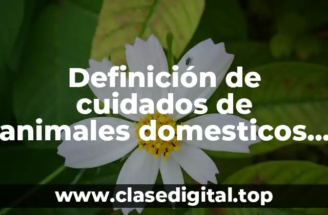 Definición de cuidados de animales domesticos primer grado