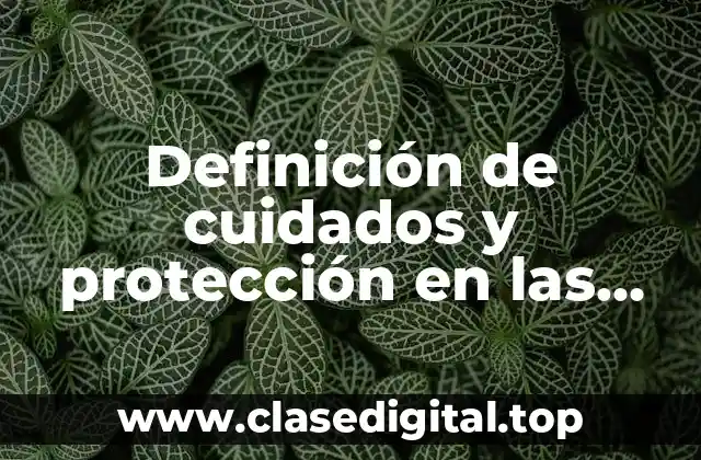 Definición de cuidados y protección en las niñas