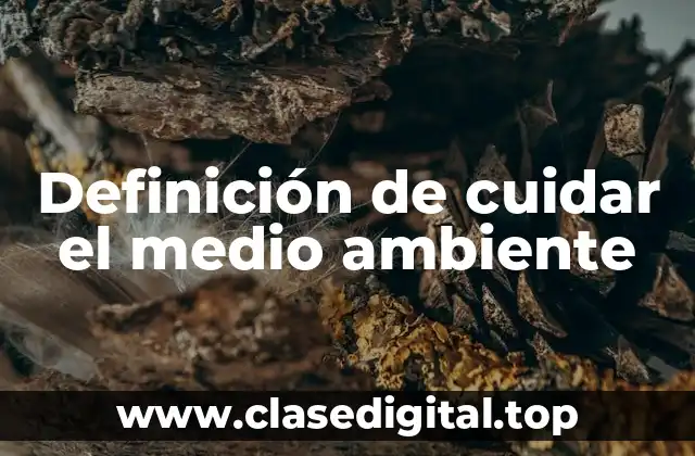 Definición técnica de cuidar el medio ambiente