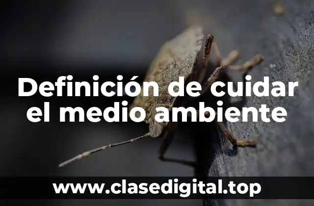Definición de cuidar el medio ambiente