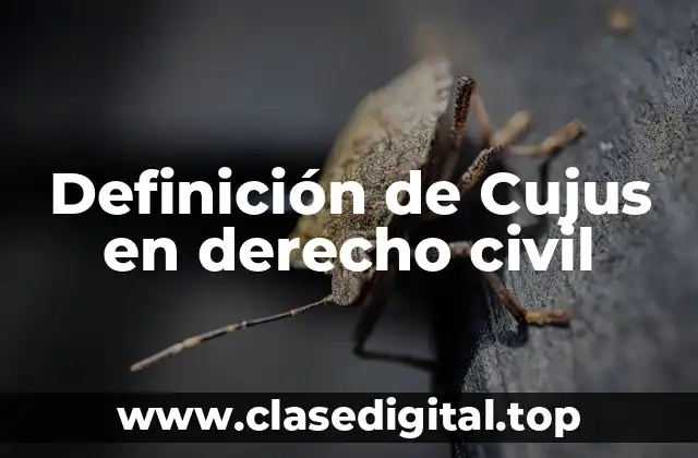 Definición de Cujus en derecho civil