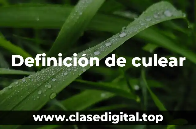 Definición de culear