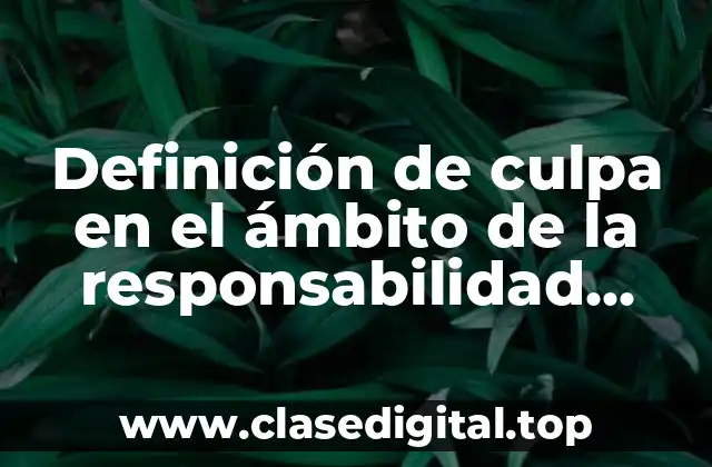 Definición de culpa en el ámbito de la responsabilidad administrativa