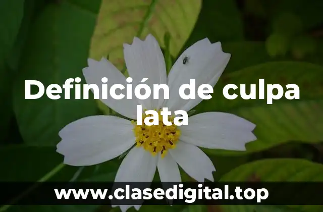 Ejemplos de culpa lata