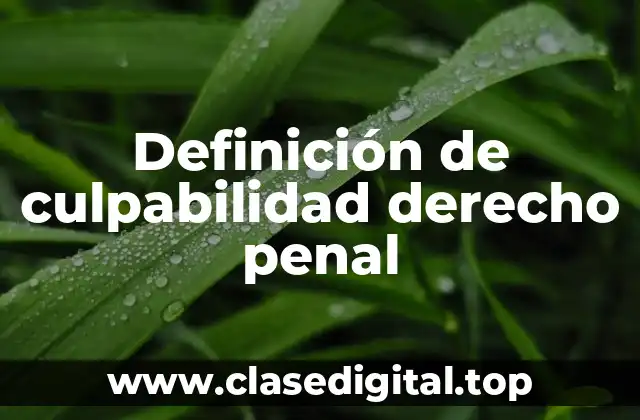 Definición de culpabilidad derecho penal