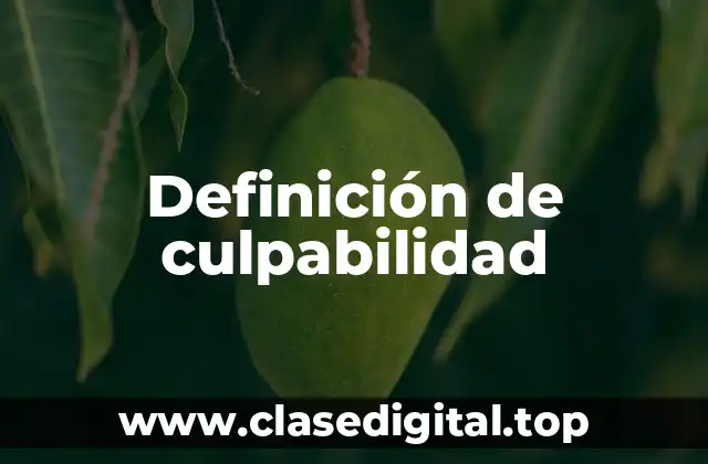 Definición técnica de culpabilidad