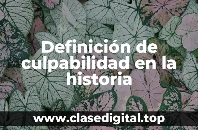 Definición de culpabilidad en la historia