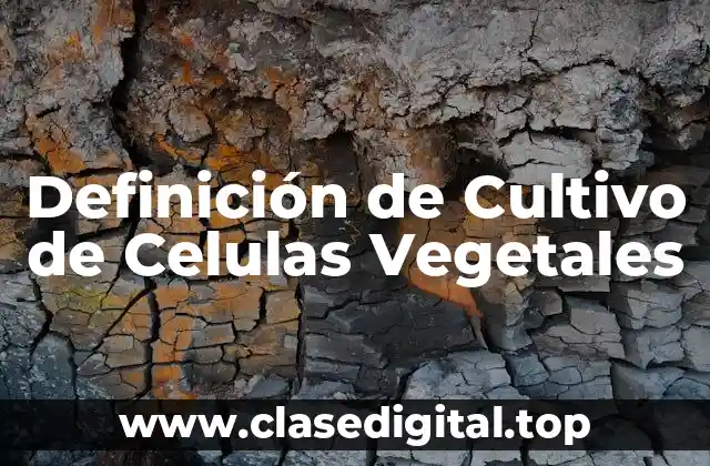 Definición de Cultivo de Celulas Vegetales