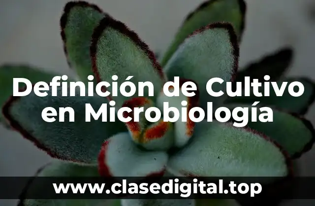 Definición de Cultivo en Microbiología