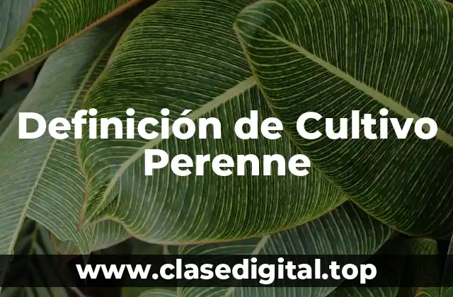 Definición de Cultivo Perenne
