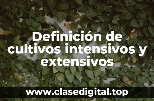 Definición de cultivos intensivos y extensivos