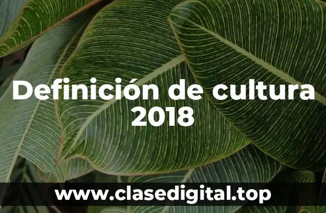 Definición técnica de cultura