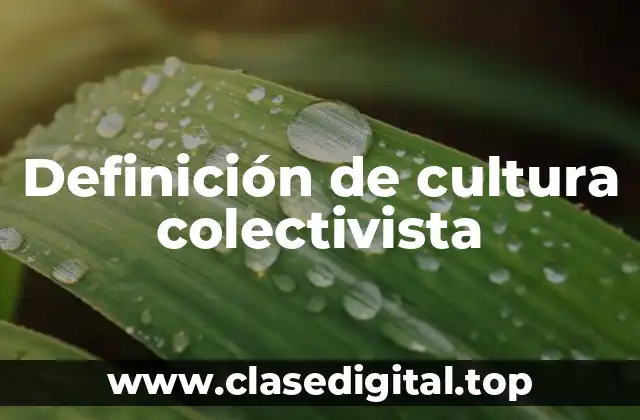 Definición de cultura colectivista