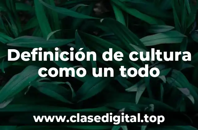 Definición de cultura como un todo