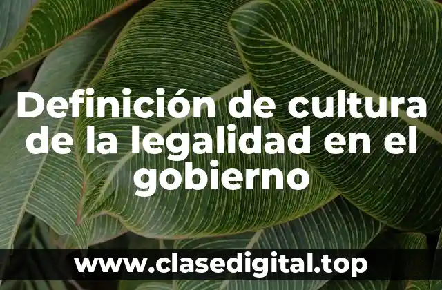 Ejemplos de cultura de la legalidad en el gobierno