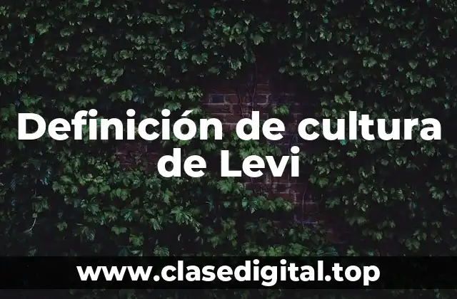 Definición de cultura de Levi
