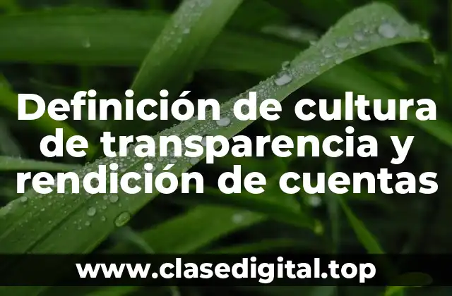 Definición de cultura de transparencia y rendición de cuentas