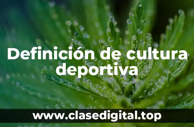 Definición de cultura deportiva