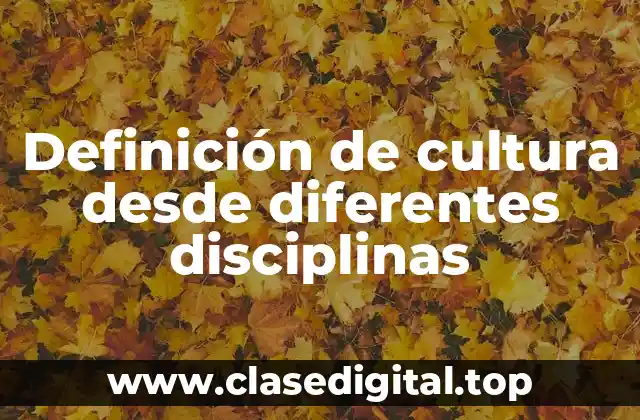 Definición de cultura desde diferentes disciplinas