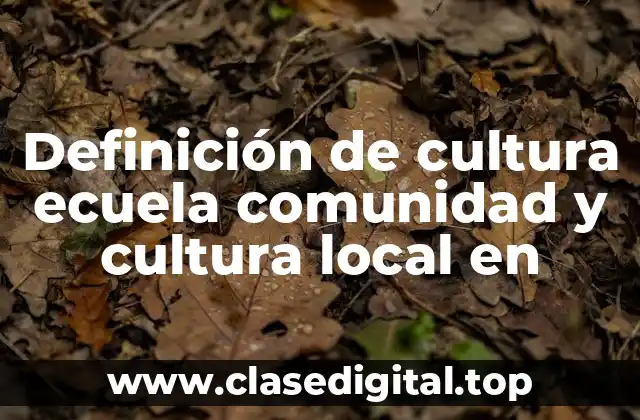 Definición de cultura ecuela comunidad y cultura local en