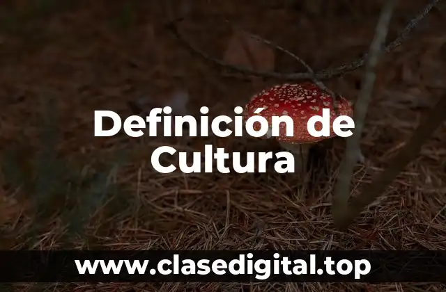 Definición de Cultura