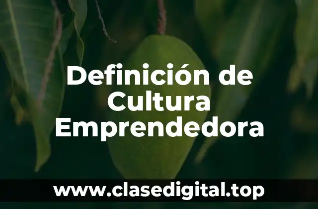 Definición técnica de Cultura Emprendedora