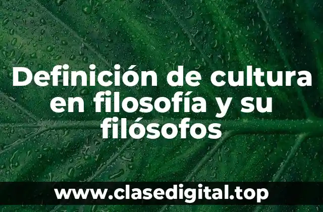 Definición de cultura en filosofía y su filósofos