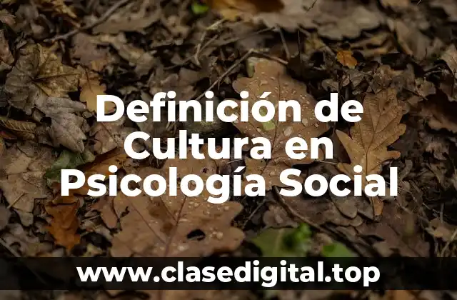 Definición Técnica de Cultura