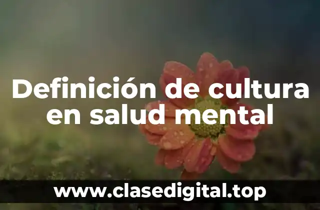 Definición de cultura en salud mental