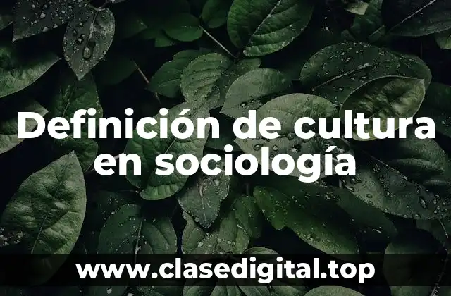 Definición de cultura en sociología