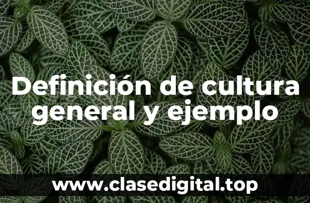 Definición de cultura general y ejemplo