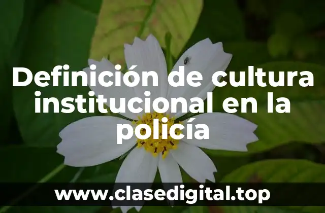 Ejemplos de cultura institucional en la policía