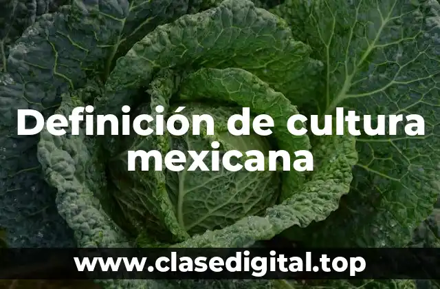 Definición de cultura mexicana