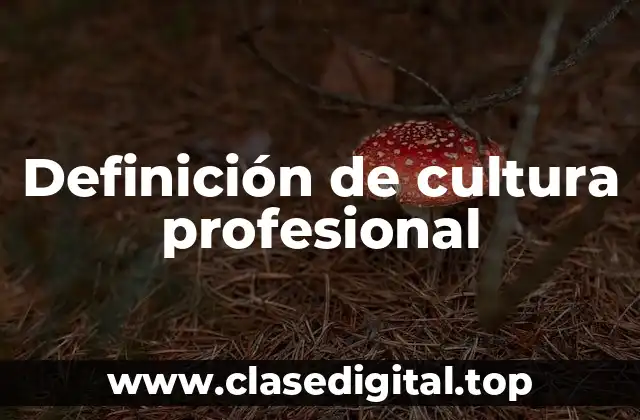 Definición de cultura profesional