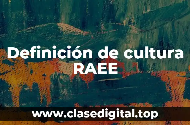 Definición de cultura RAEE