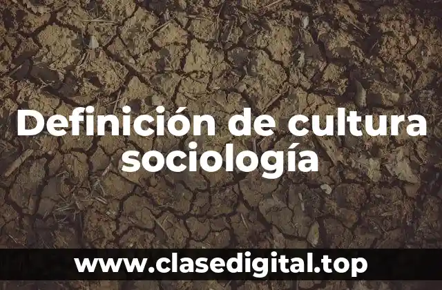 Definición de cultura sociología