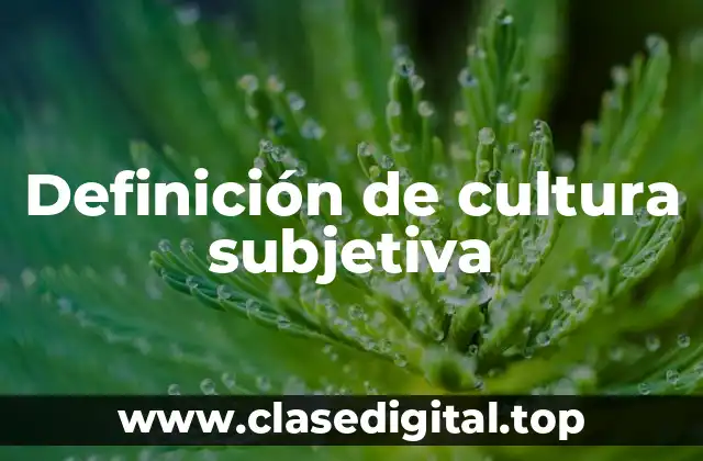 Definición de cultura subjetiva