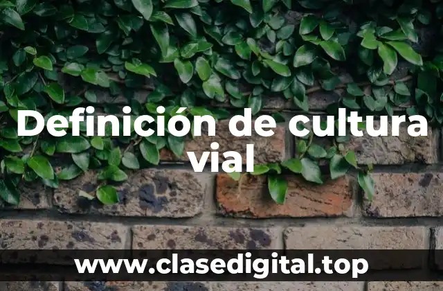 Definición de cultura vial