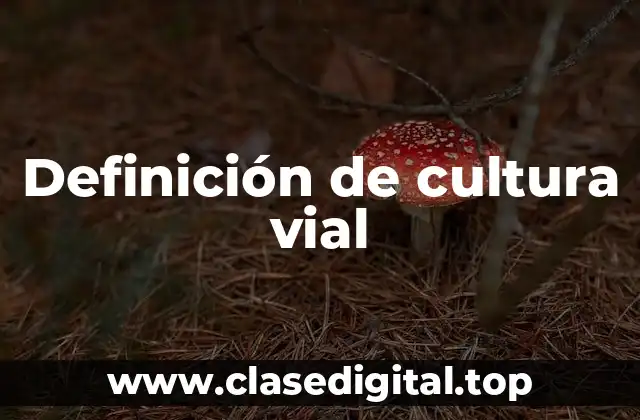 Definición de cultura vial