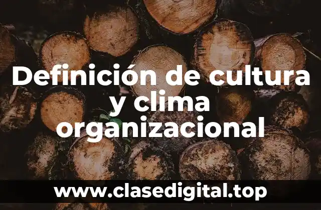Definición de cultura y clima organizacional
