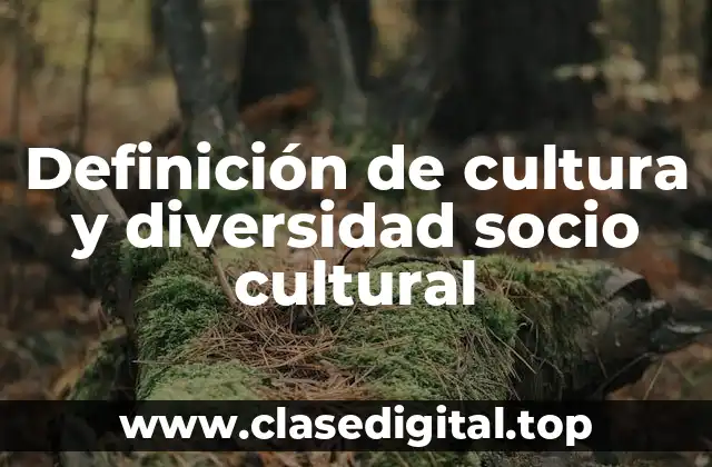 Definición de cultura y diversidad socio cultural