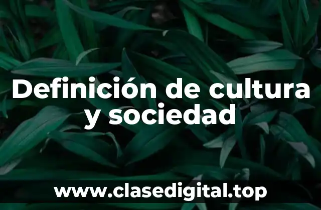 Definición técnica de cultura y sociedad