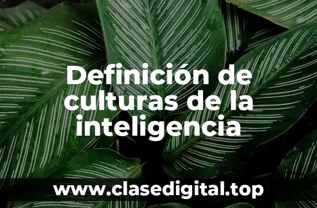 Definición de culturas de la inteligencia