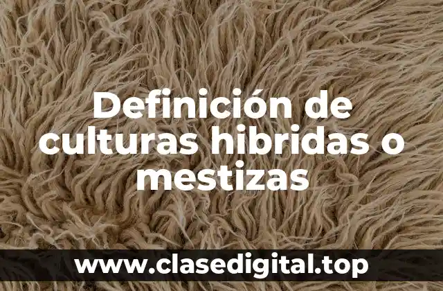 Definición de culturas hibridas o mestizas