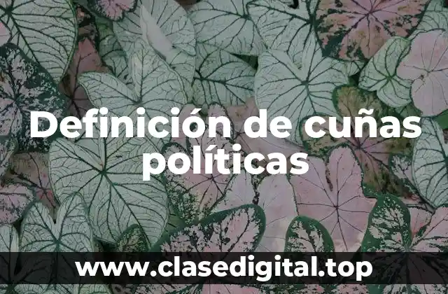 Definición de cuñas políticas
