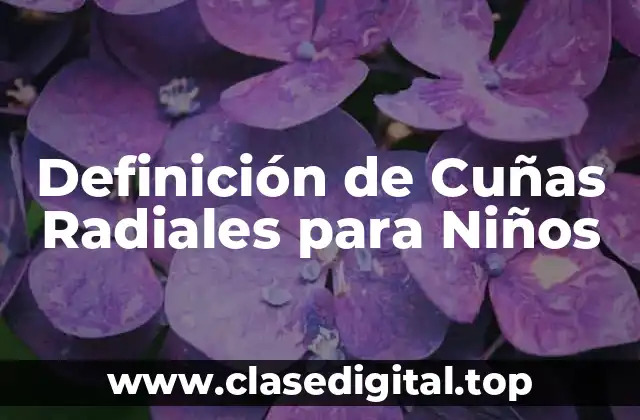 Definición de Cuñas Radiales para Niños