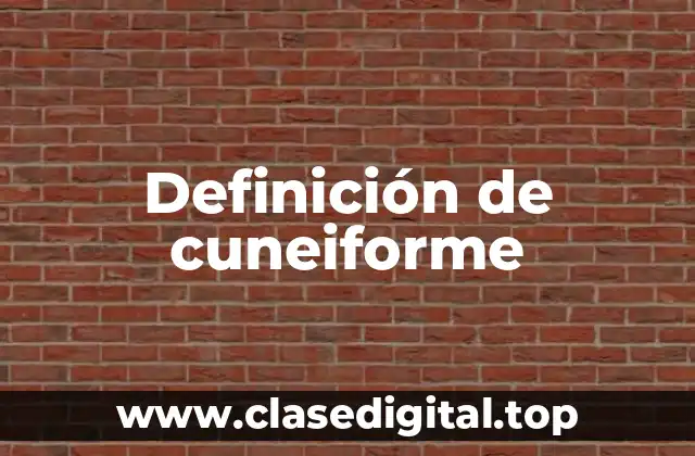 Definición de cuneiforme