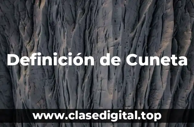 Definición técnica de cuneta